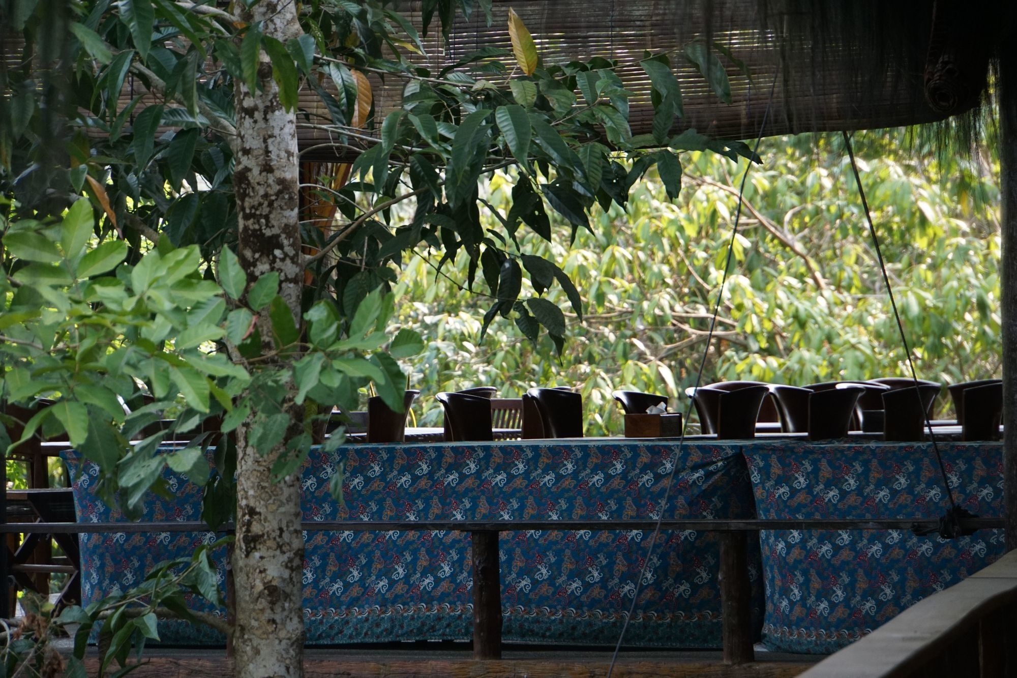 באליקפאפאן Samboja Lodge מראה חיצוני תמונה