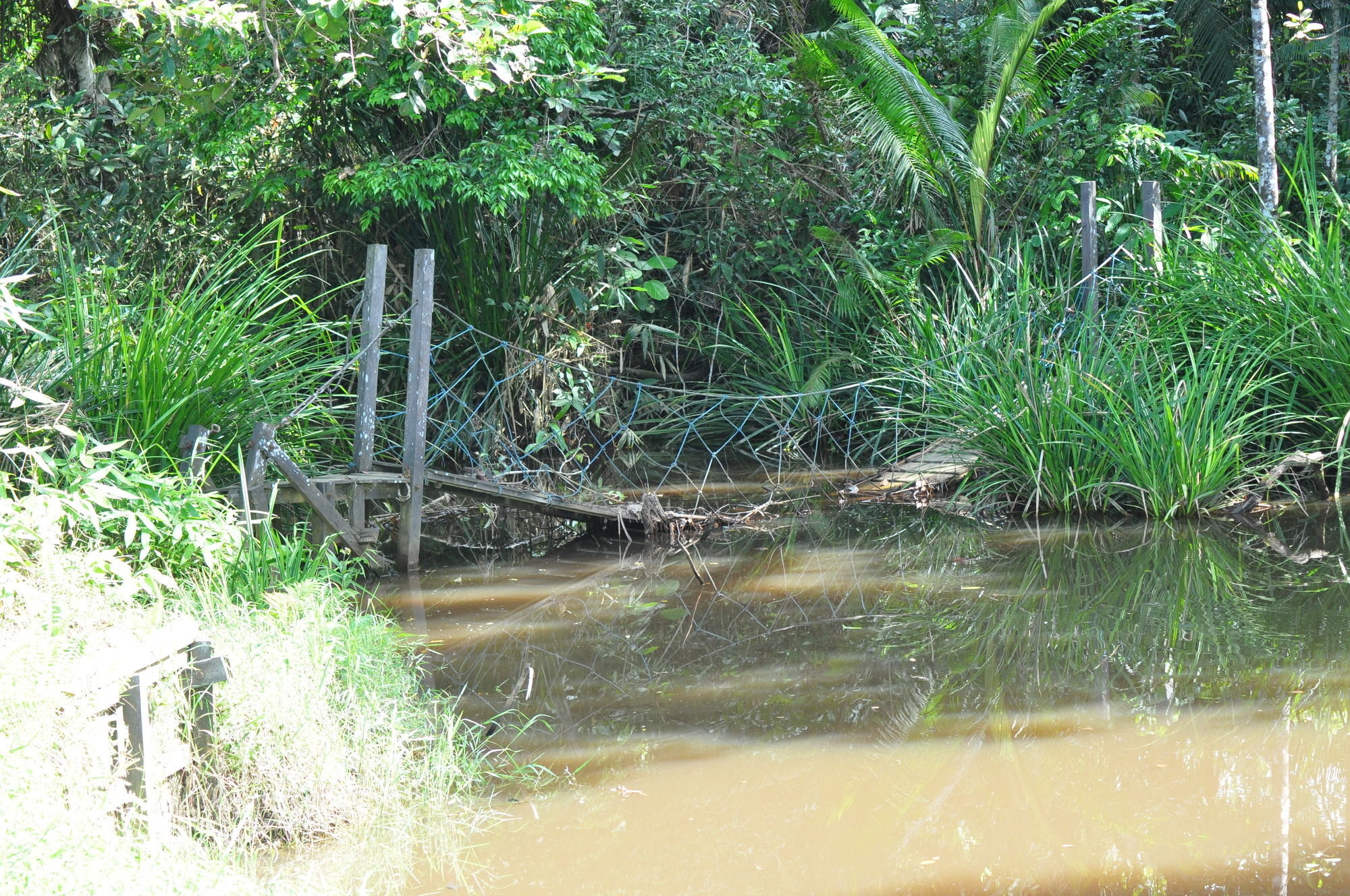 באליקפאפאן Samboja Lodge מראה חיצוני תמונה