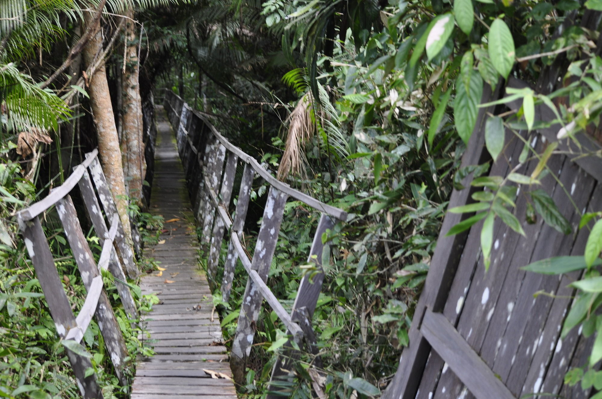 באליקפאפאן Samboja Lodge מראה חיצוני תמונה