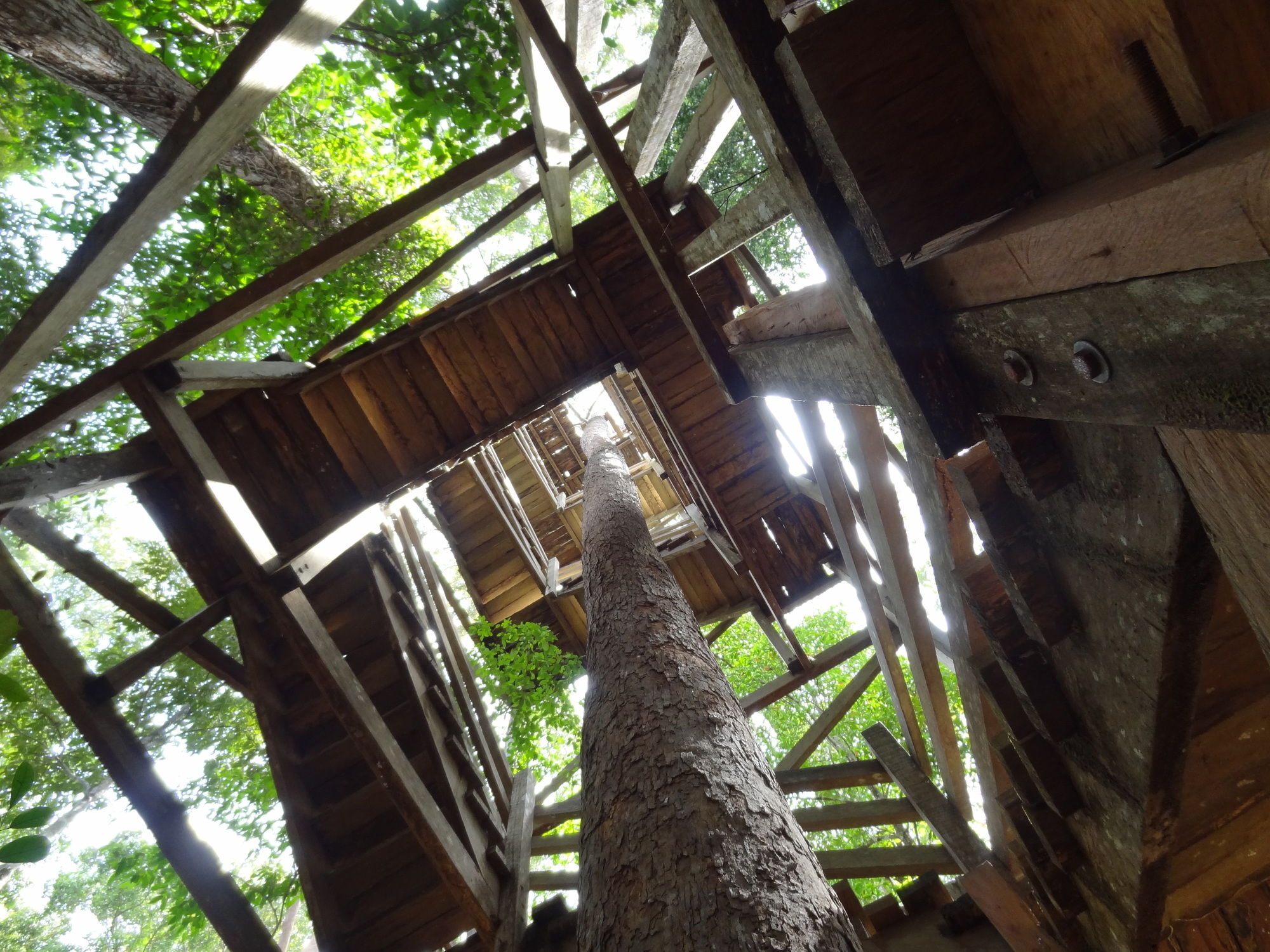 באליקפאפאן Samboja Lodge מראה חיצוני תמונה